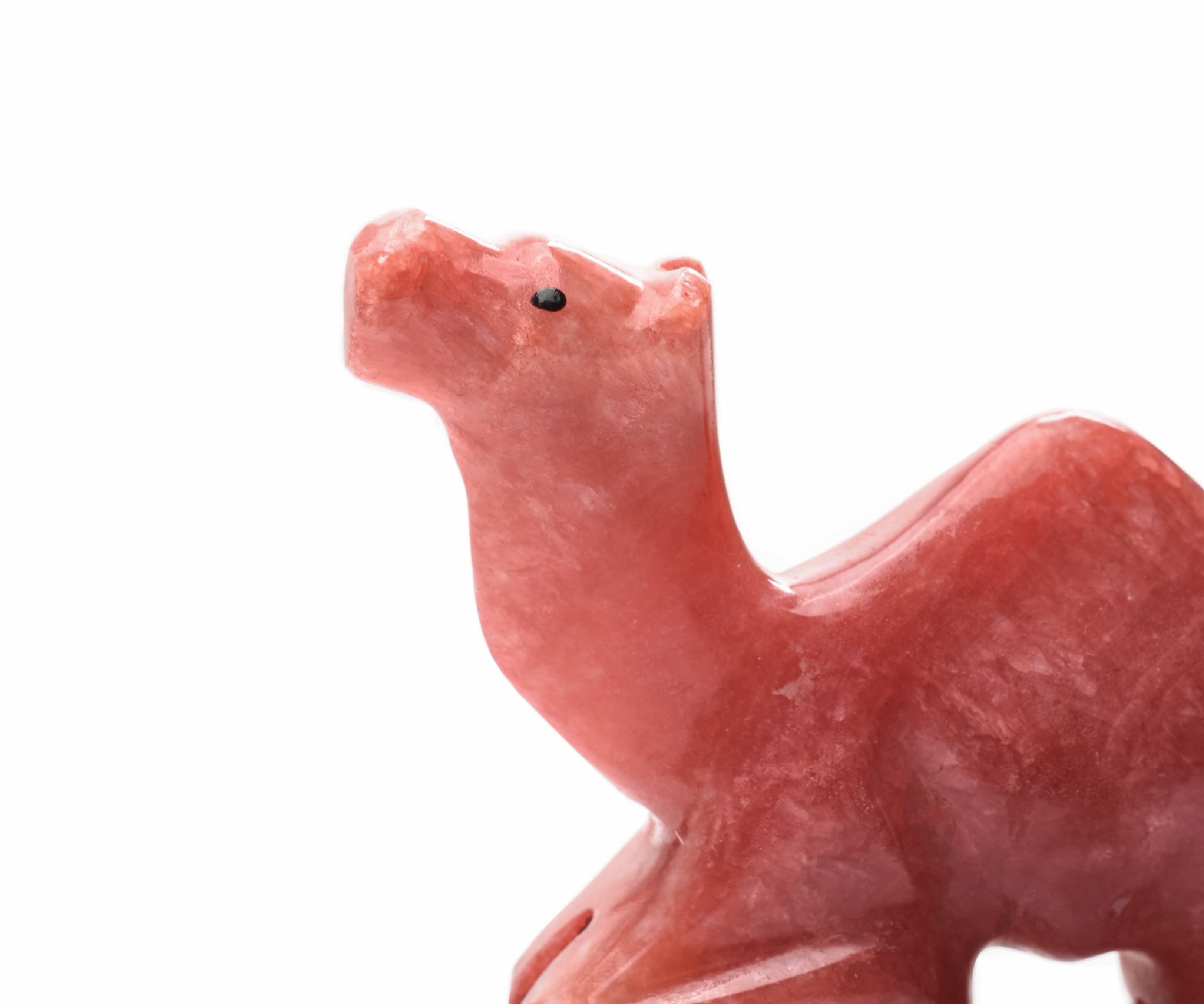 Sitting Colored Small Camel