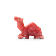 Sitting Colored Small Camel