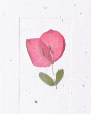 Dried Flowers Card