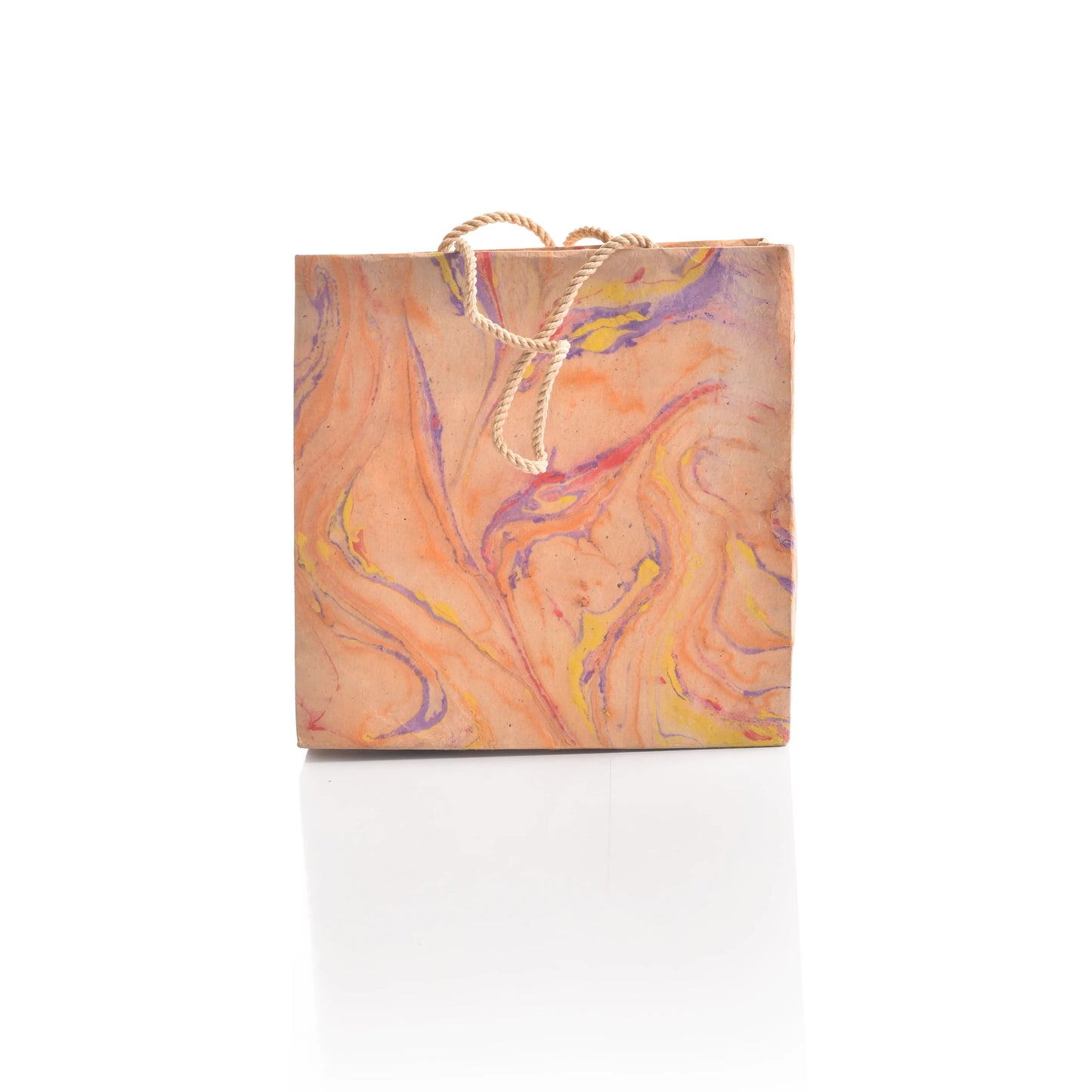 Assorted Wide Present Bag