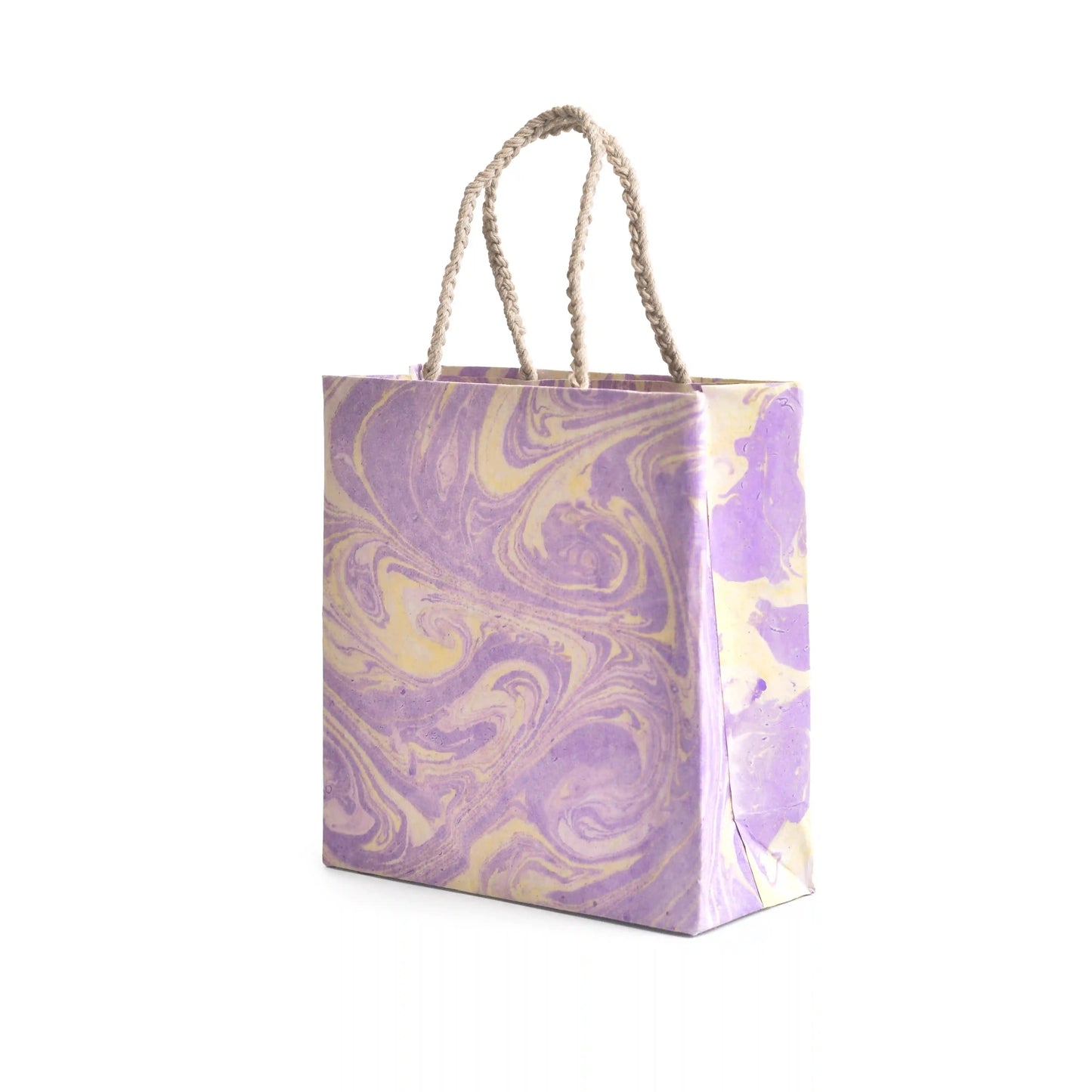 Assorted Wide Present Bag