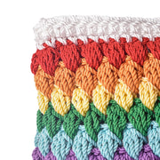 Rainbow Crochet Clutch