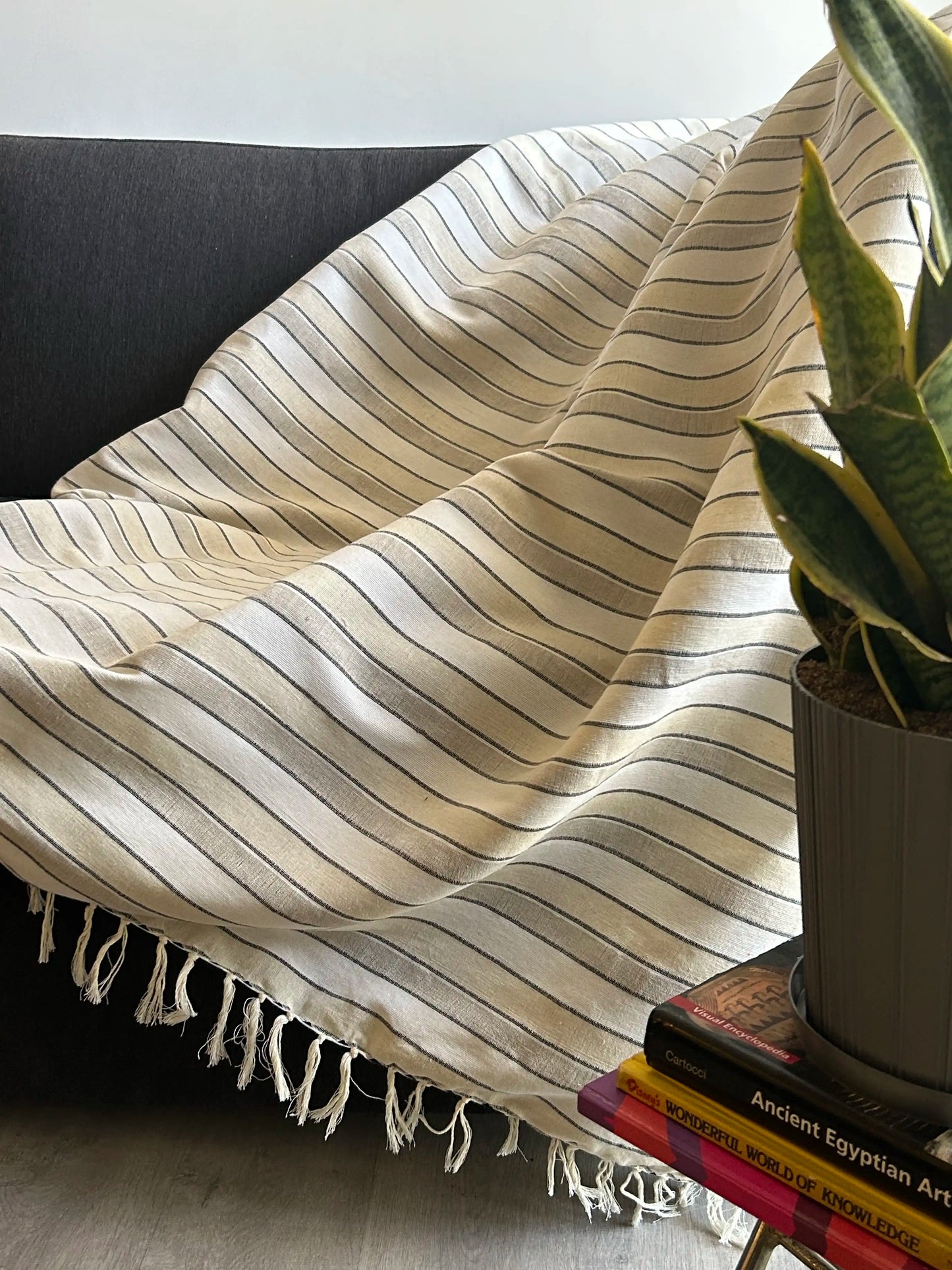 Thin Stripped Throw